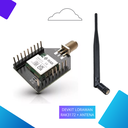 ¡Nuevo! Módulo LORAWAN RAK3172 + Antena externa